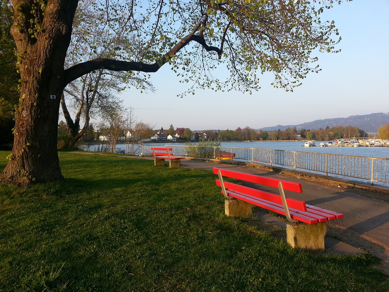 一场成功的 一场成功的