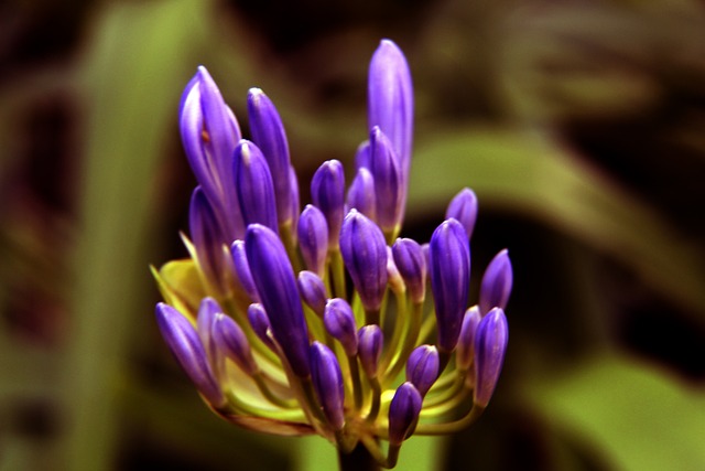 了新的活力 了新的活力