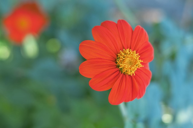 位教练而言 位教练而言