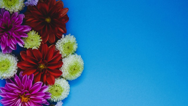 这位被誉为 这位被誉为