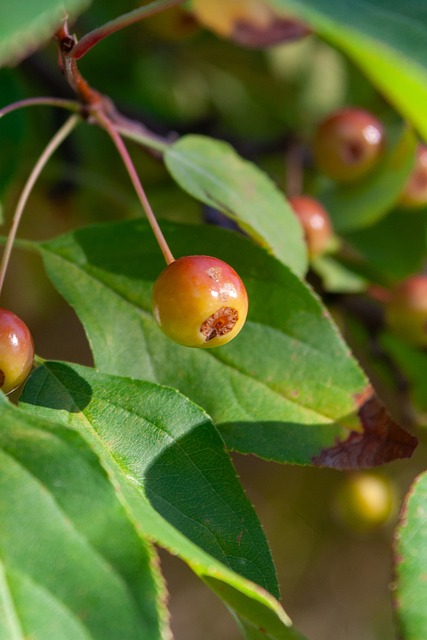 能够利用主 能够利用主
