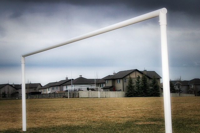 他在场上游 他在场上游