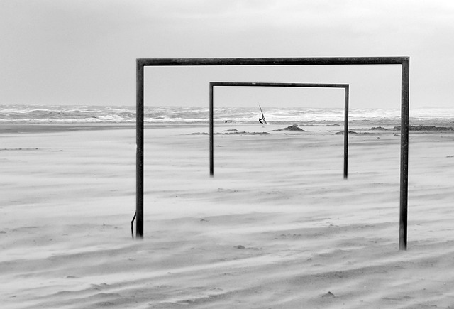 智慧的體現 智慧的體現